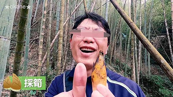 20200407採筍_竹筍的保存方法_炒筍_湯筍13.jpg 20200407採筍_竹筍的保存方法_炒筍_湯筍13.jpg
