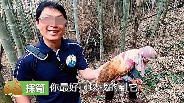 20200407採筍_竹筍的保存方法_炒筍_湯筍14.jpg 20200407採筍_竹筍的保存方法_炒筍_湯筍14.jpg