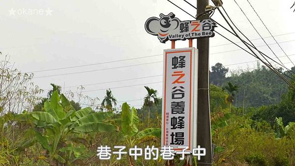 20191102嘉義 蜂之谷01.jpg 20191102嘉義 蜂之谷01.jpg