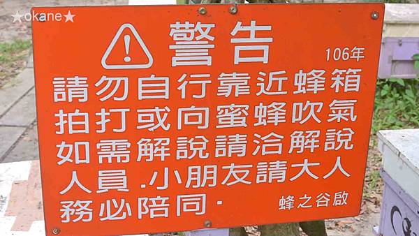 20191102嘉義 蜂之谷09.jpg 20191102嘉義 蜂之谷09.jpg