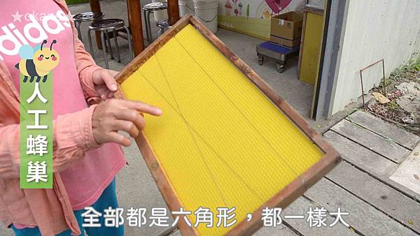20191102嘉義 蜂之谷25.jpg 20191102嘉義 蜂之谷25.jpg