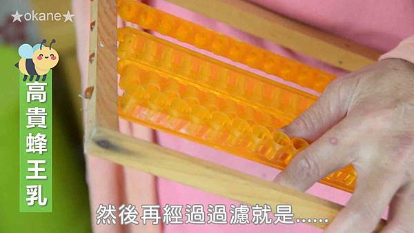 20191102嘉義 蜂之谷26.jpg 20191102嘉義 蜂之谷26.jpg