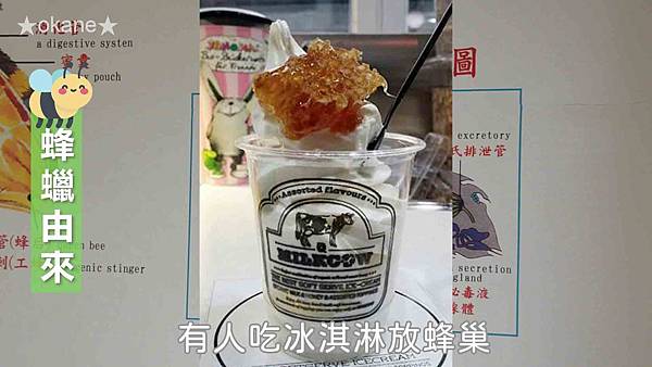 20191102嘉義 蜂之谷30.jpg 20191102嘉義 蜂之谷30.jpg