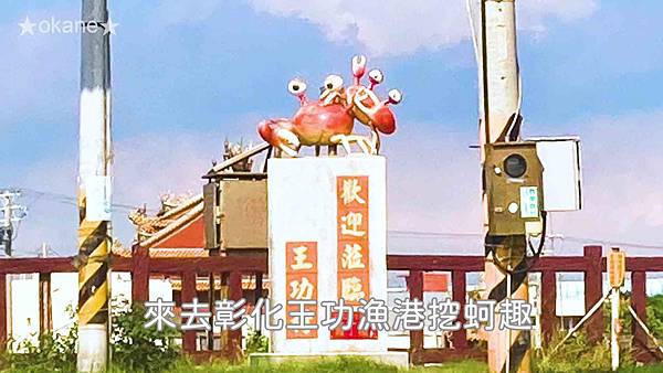 20200627彰化 王功挖蛤蠣_01.jpg 20200627彰化 王功挖蛤蠣_01.jpg