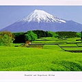 風景-富士山美景6.jpg