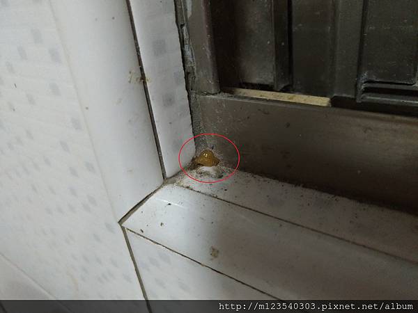 P_20170805_190132_vHDR_Auto