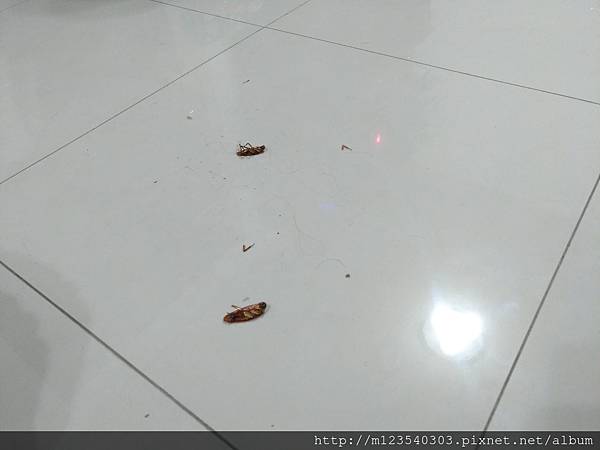 P_20170805_190623_vHDR_Auto