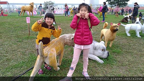 P_20180303_105042_vHDR_Auto