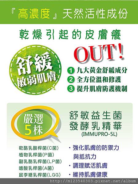 試用
