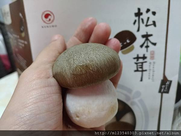 P_20181119_110312_vHDR_Auto