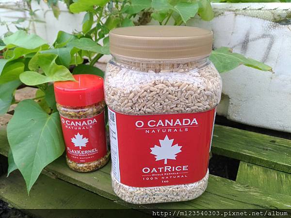 P_20190123_112649_vHDR_Auto 試用