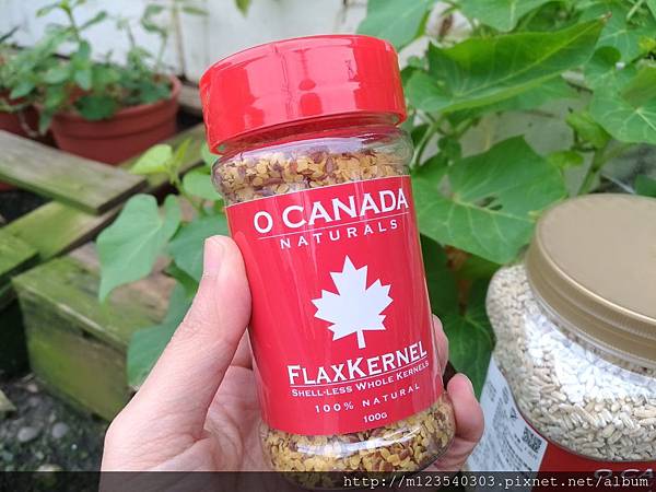 P_20190123_112657_vHDR_Auto 試用