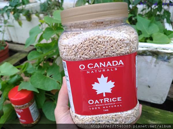 P_20190123_112718_vHDR_Auto 試用