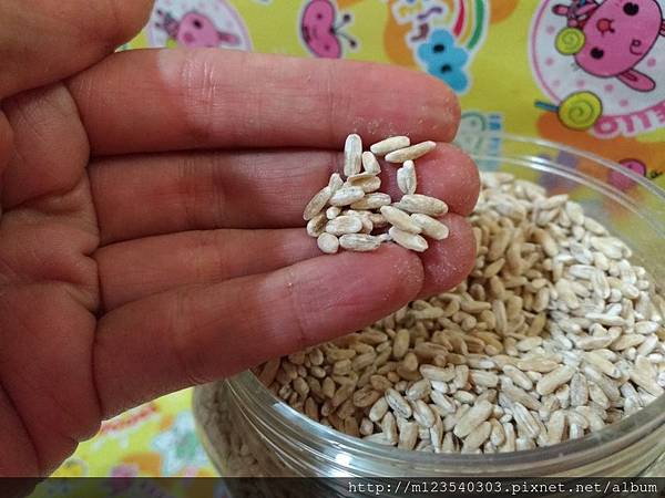 P_20190130_171821_vHDR_Auto 試用