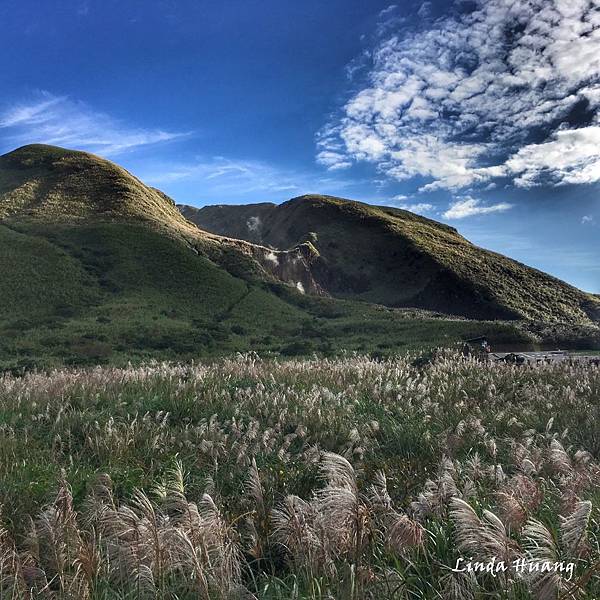 S__87015462.jpg S__87015462.jpg