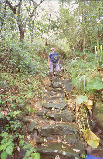 頂山古道石階