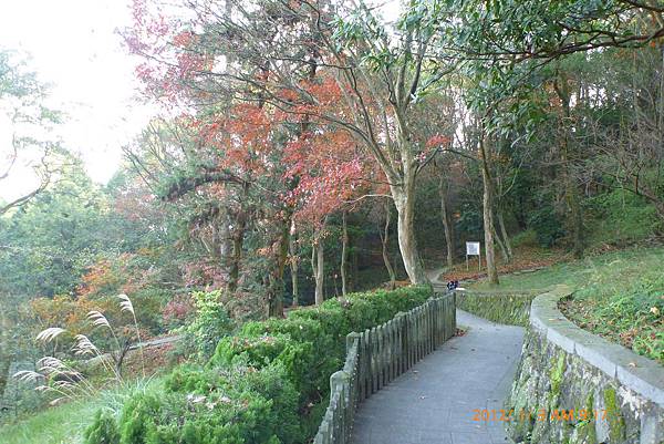 行修宮後山步道 楓紅景觀  景致引人陶醉