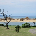 IMG_5917