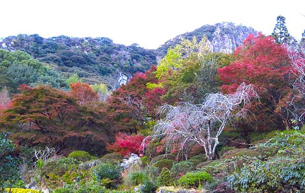 日本佐賀御船山樂園 20231118