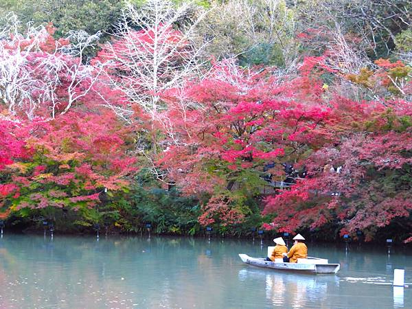 日本佐賀御船山樂園 20231118