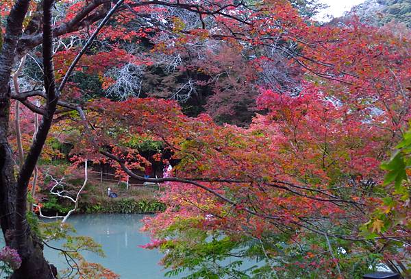 日本佐賀御船山樂園 20231118