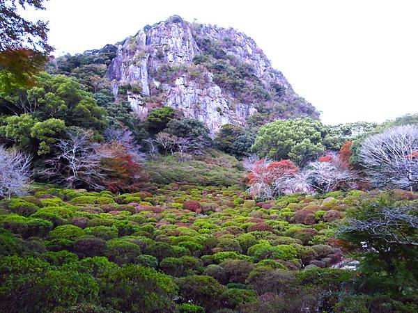 日本佐賀御船山樂園 20231118