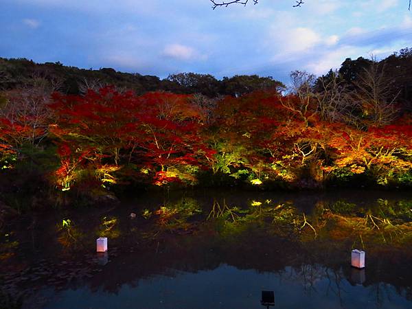 日本佐賀御船山樂園 20231118