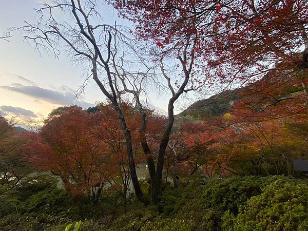 日本佐賀御船山樂園 20231118