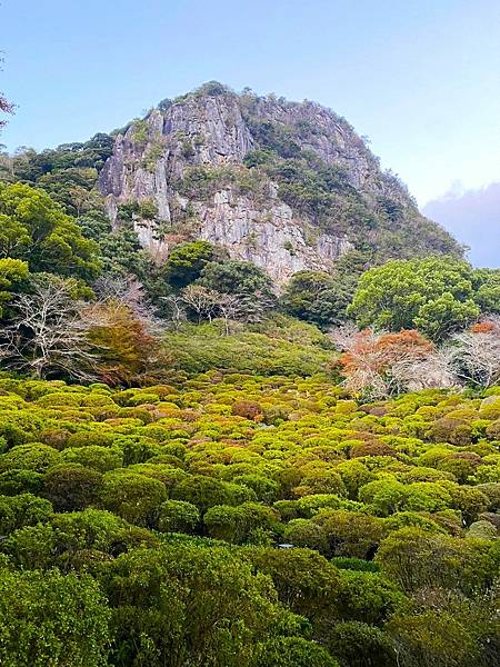 日本佐賀御船山樂園 20231118