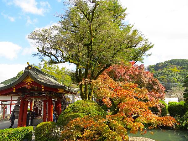 日本佐賀鹿島祐德稻荷神社 20231119