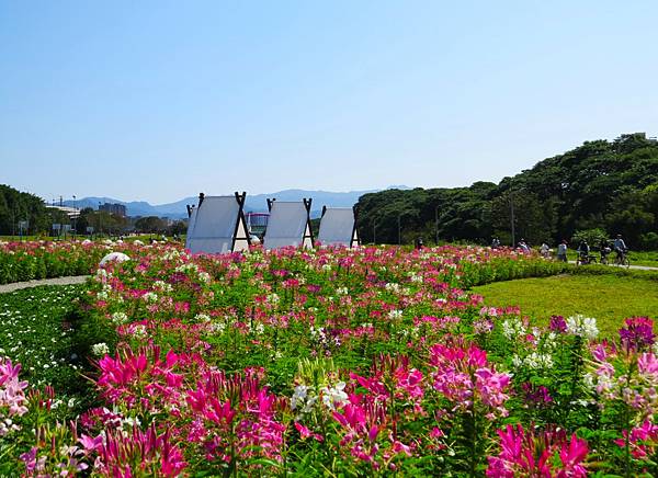 台北古亭河濱公園20240214