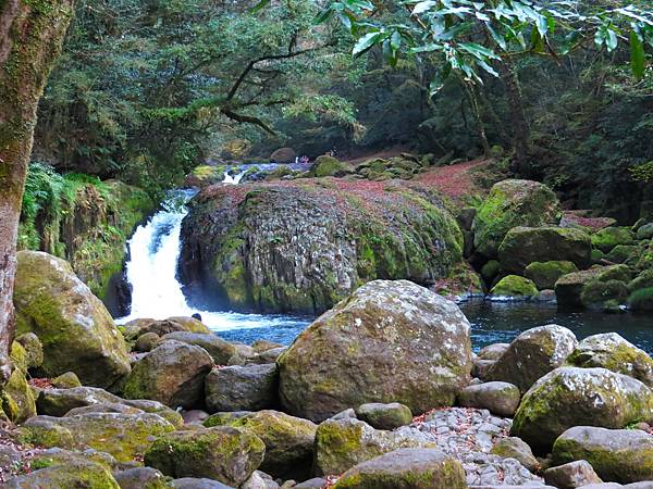 日本熊本菊池溪谷  20231120