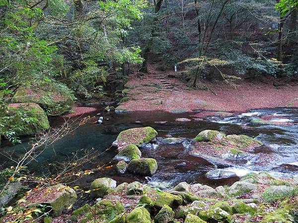 日本熊本菊池溪谷  20231120