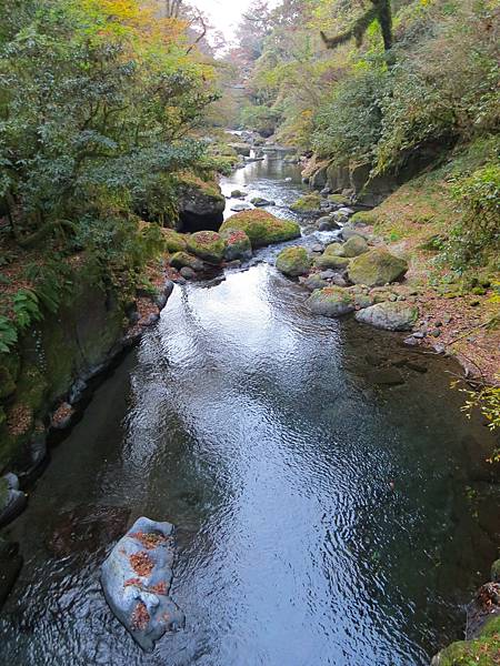 日本熊本菊池溪谷  20231120