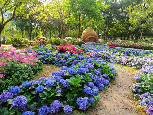 台北大安森林公園杜鵑花季 20240317