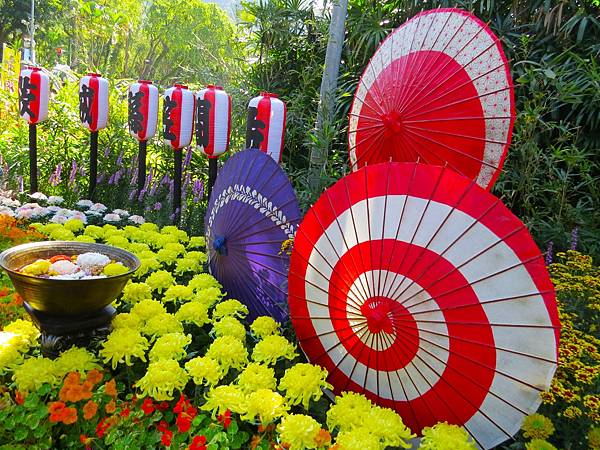 台北士林官邸菊花展20251130