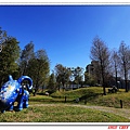 IMG_0158.jpg
