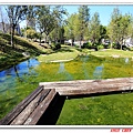 IMG_0178.jpg