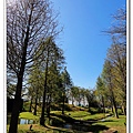 IMG_0185.jpg