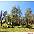 IMG_0191.jpg