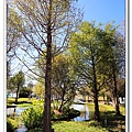 IMG_0194.jpg