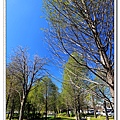 IMG_0189.jpg