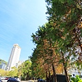 IMG_0177.jpg
