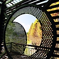 IMG_0183.jpg