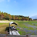IMG_0190.jpg