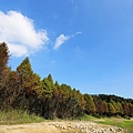IMG_0189.jpg