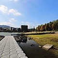 IMG_0193.jpg