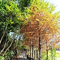 IMG_0211.jpg