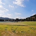 IMG_0215.jpg