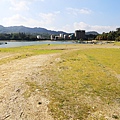 IMG_0217.jpg